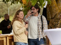 Festival Mar de Tethys 2026 - Bodega Vetas